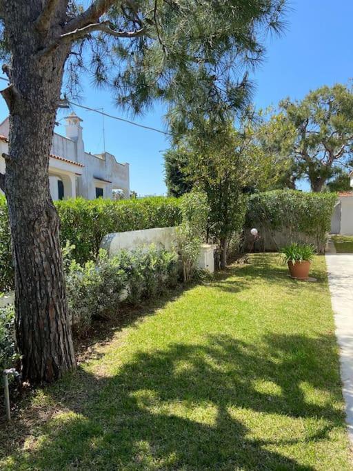 Villa A Marina Di Ostuni Bagian luar foto